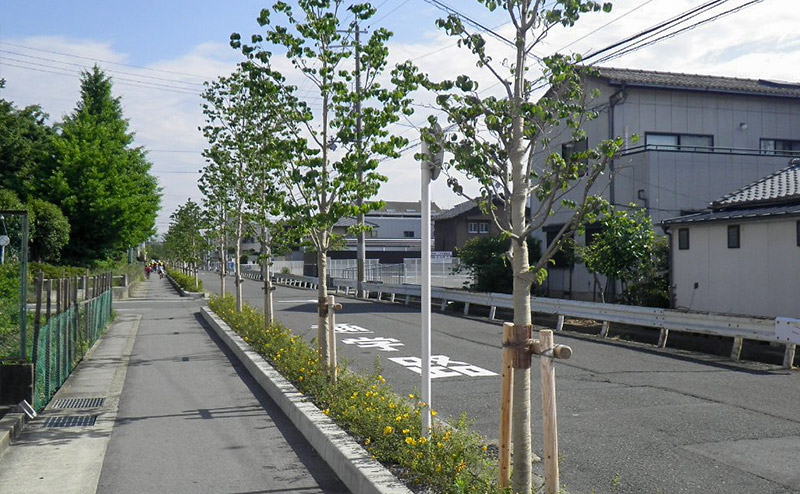 花の道づくり街路樹植栽（その５）工事（京都市）