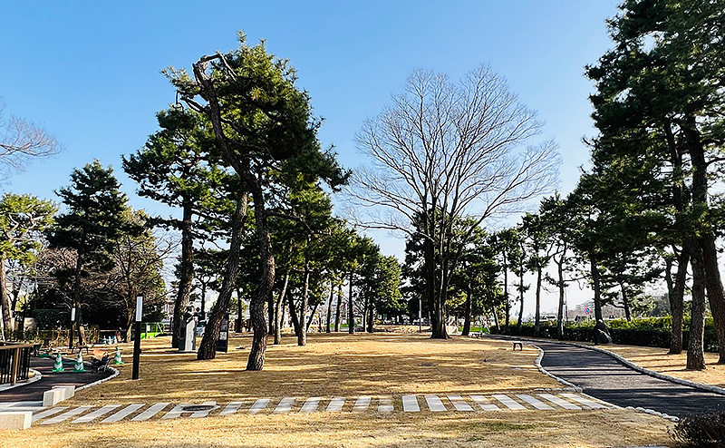 鴨川公園（葵公園）公共都市公園施設整備工事