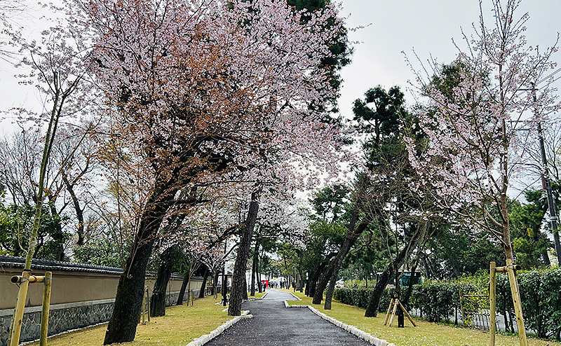 鴨川公園（葵公園）公共都市公園施設整備工事
