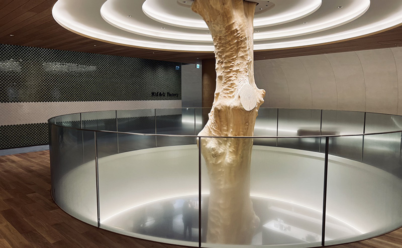 atelier京ばあむ 緑化工事