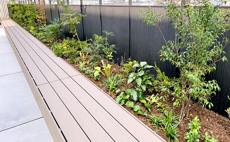 atelier京ばあむ 緑化工事