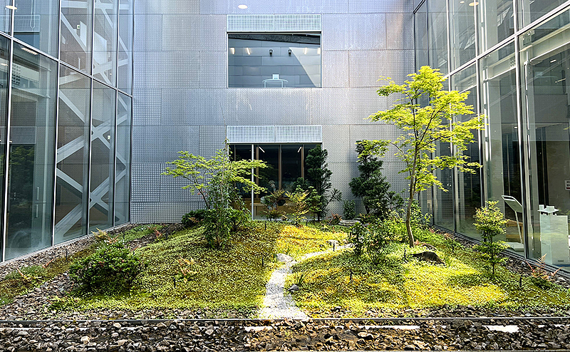 京都府立京都学・歴彩館 光庭植栽工事