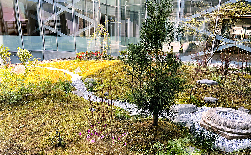 京都府立京都学・歴彩館 光庭植栽工事