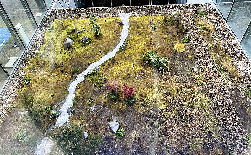 京都府立京都学・歴彩館 光庭植栽工事