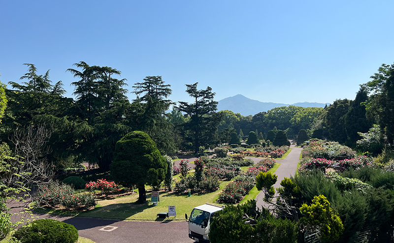 京都府立植物園 バラ園栽培管理業務