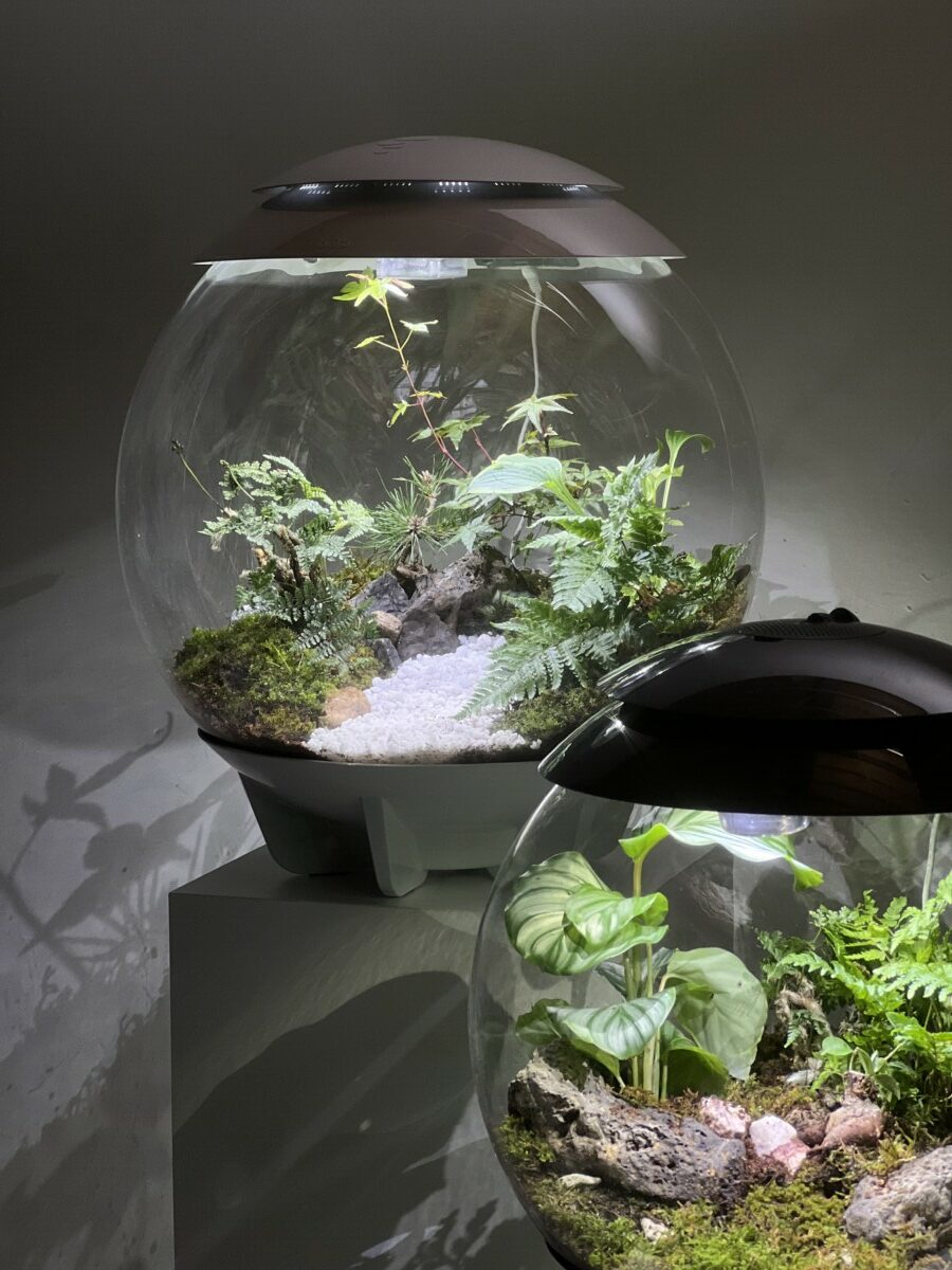 biOrb AIR（バイオーブエアー）のご紹介 | 茨木春草園のお知らせ